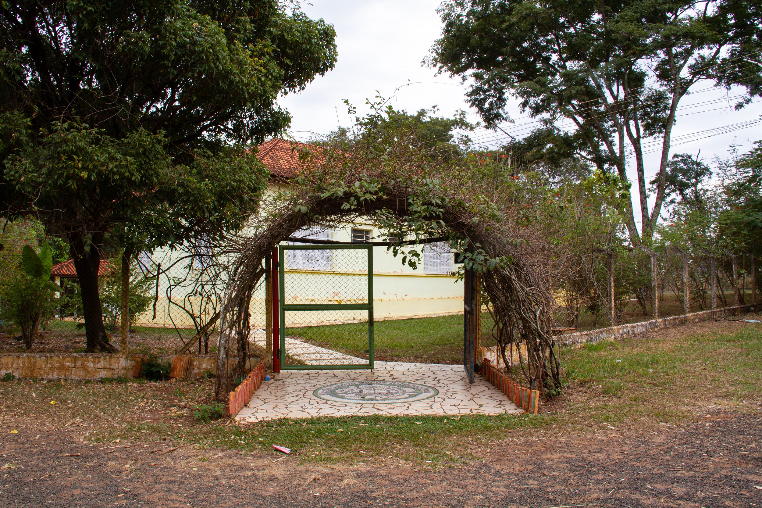 pergolado com plantas e a entrada da escola